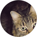 Maria Isabel Lopez Maria Isabel Lopez